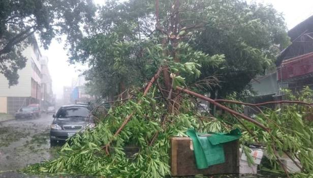 蘇迪勒颱風發威3