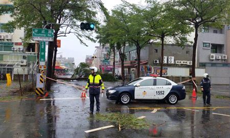 北安路、育德路口路樹倒塌，警方封鎖現場警戒。