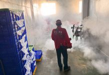 台南確診2例本土登革熱!活動足跡到過新光三越新天地、小北門店、肯德基、全聯