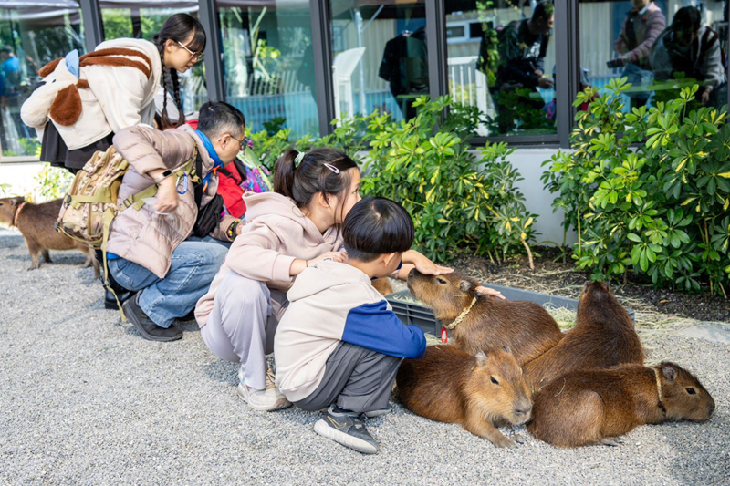 高雄內門觀光休閒園區「野森動物學校」試營運。