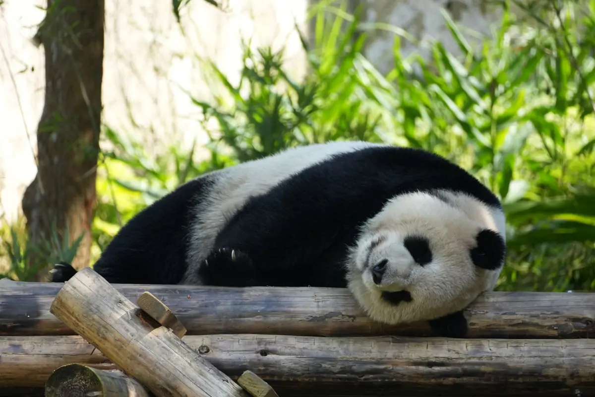 研究發現,睡眠時間與多種疾病風險有關。
